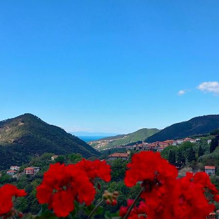 Camera Tra Le Cinque Terre, Camogli E Portofino. Vista Valle E Scorcio Mare All'Orizzonte Castiglione Chiavarese Екстер'єр фото