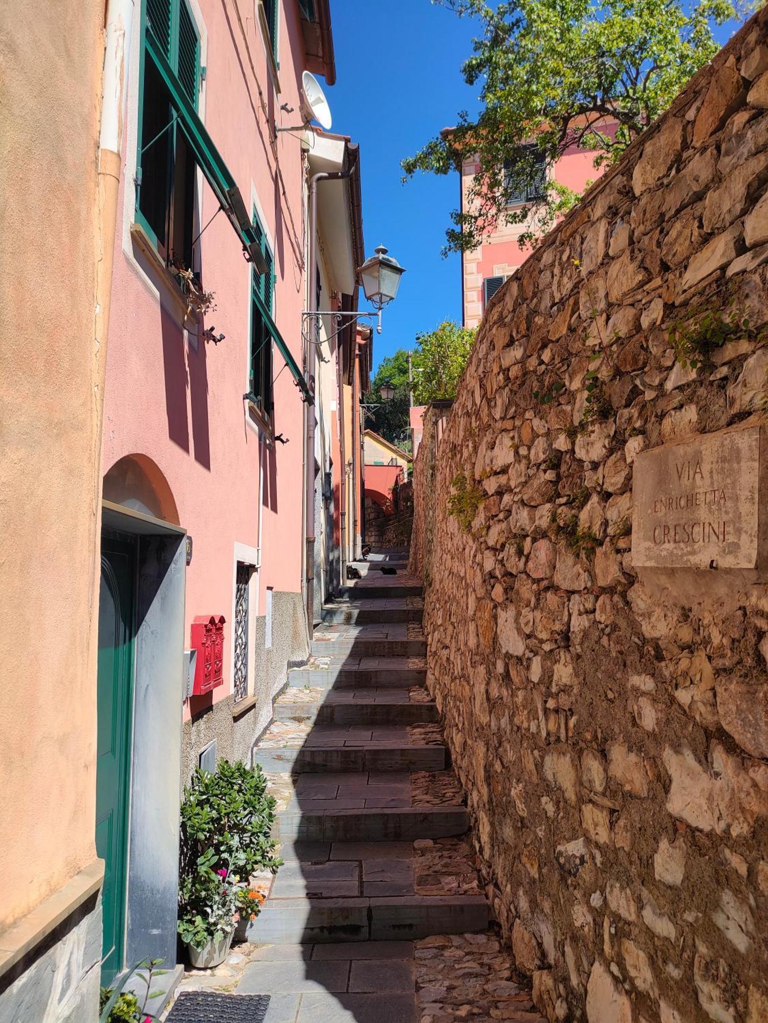 Camera Tra Le Cinque Terre, Camogli E Portofino. Vista Valle E Scorcio Mare All'Orizzonte Castiglione Chiavarese Екстер'єр фото