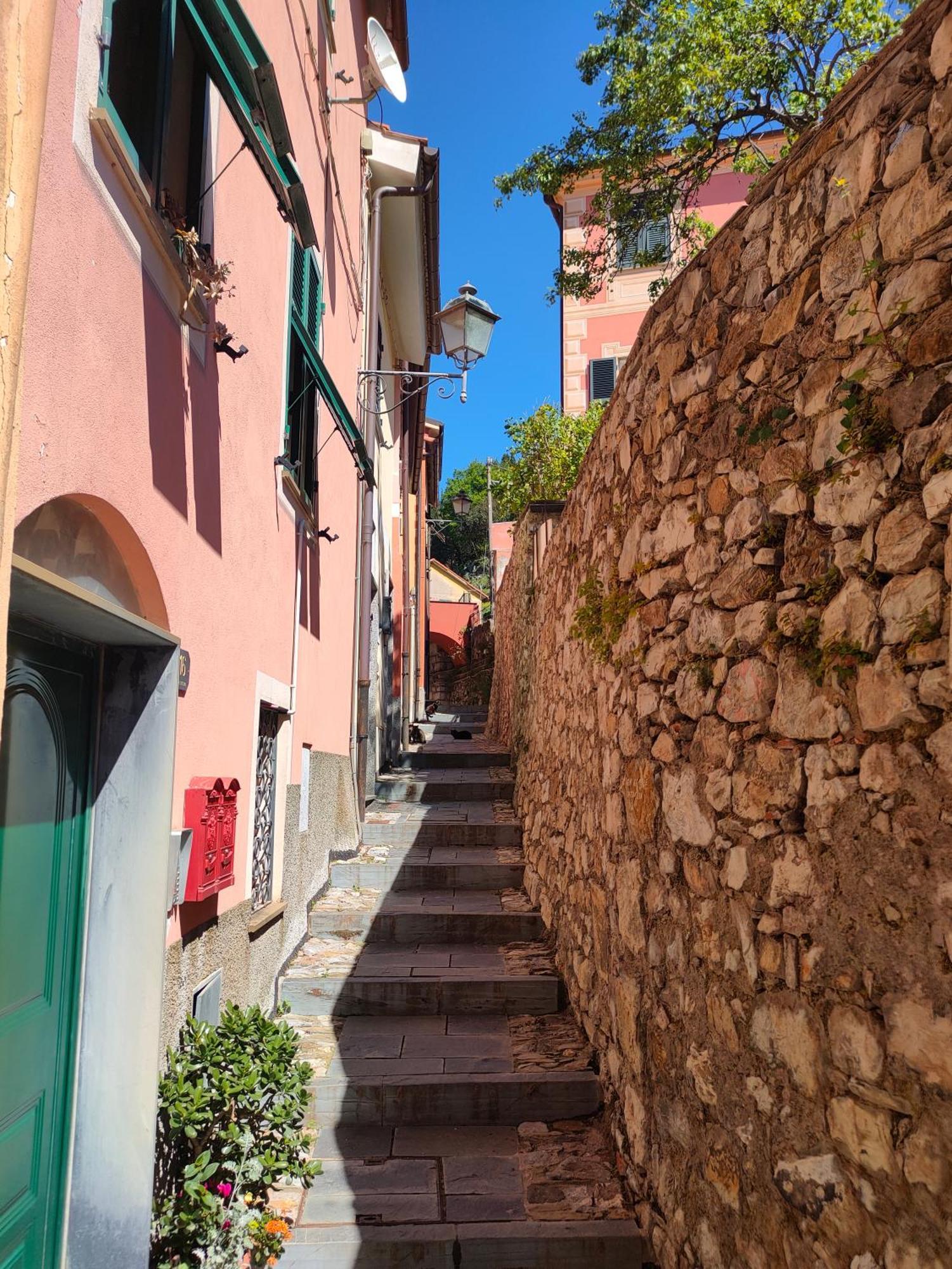 Camera Tra Le Cinque Terre, Camogli E Portofino. Vista Valle E Scorcio Mare All'Orizzonte Castiglione Chiavarese Екстер'єр фото