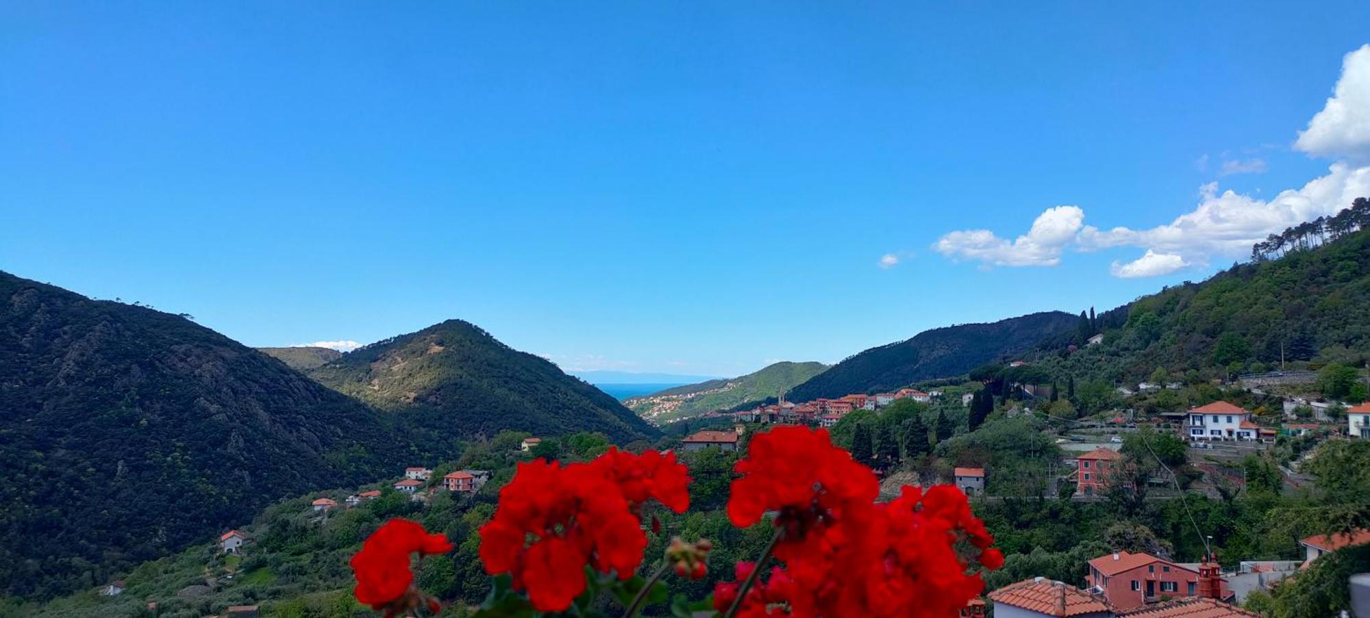 Camera Tra Le Cinque Terre, Camogli E Portofino. Vista Valle E Scorcio Mare All'Orizzonte Castiglione Chiavarese Екстер'єр фото